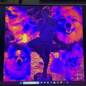 Meet your Posher, Denise